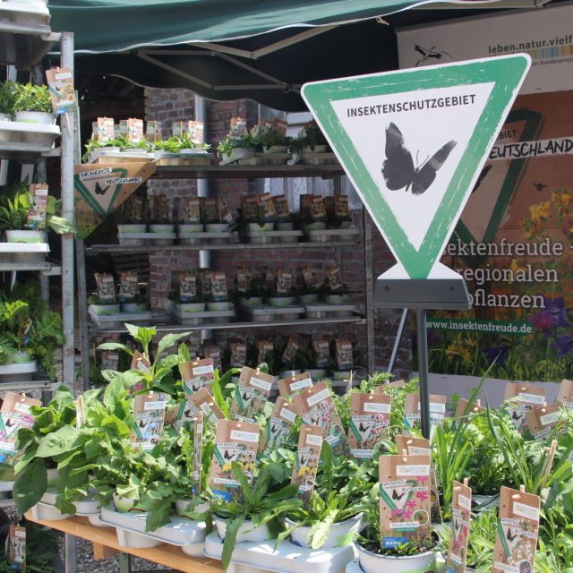 Verkaufsstand mit den "kleinsten Insektenschutzgebieten", Fotografin: Ortrun Heine