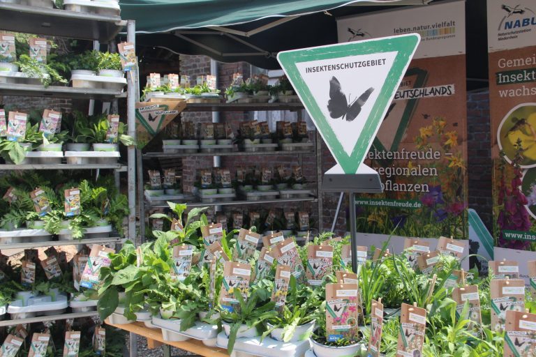 Verkaufsstand mit den "kleinsten Insektenschutzgebieten", Fotografin: Ortrun Heine